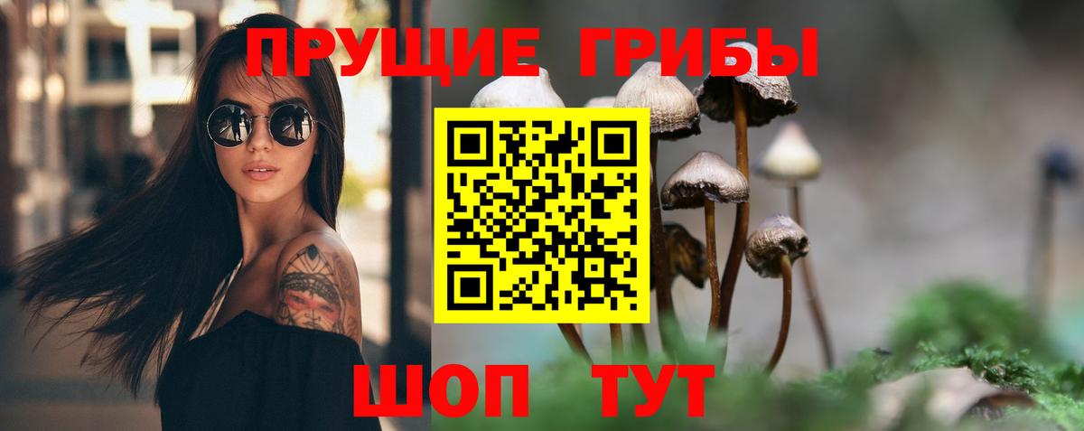 Видное  Галлюциногенные грибы Cubensis  Псилоцибиновые грибы Psilocybe  Вход с VPN 